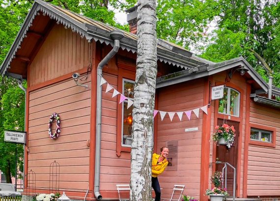 Elluyellow kurkkaa Tallipihalla