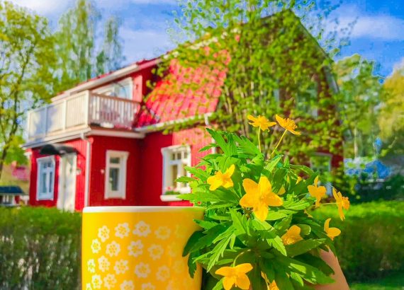 Punainen talo ja keltainen kahvikuppi