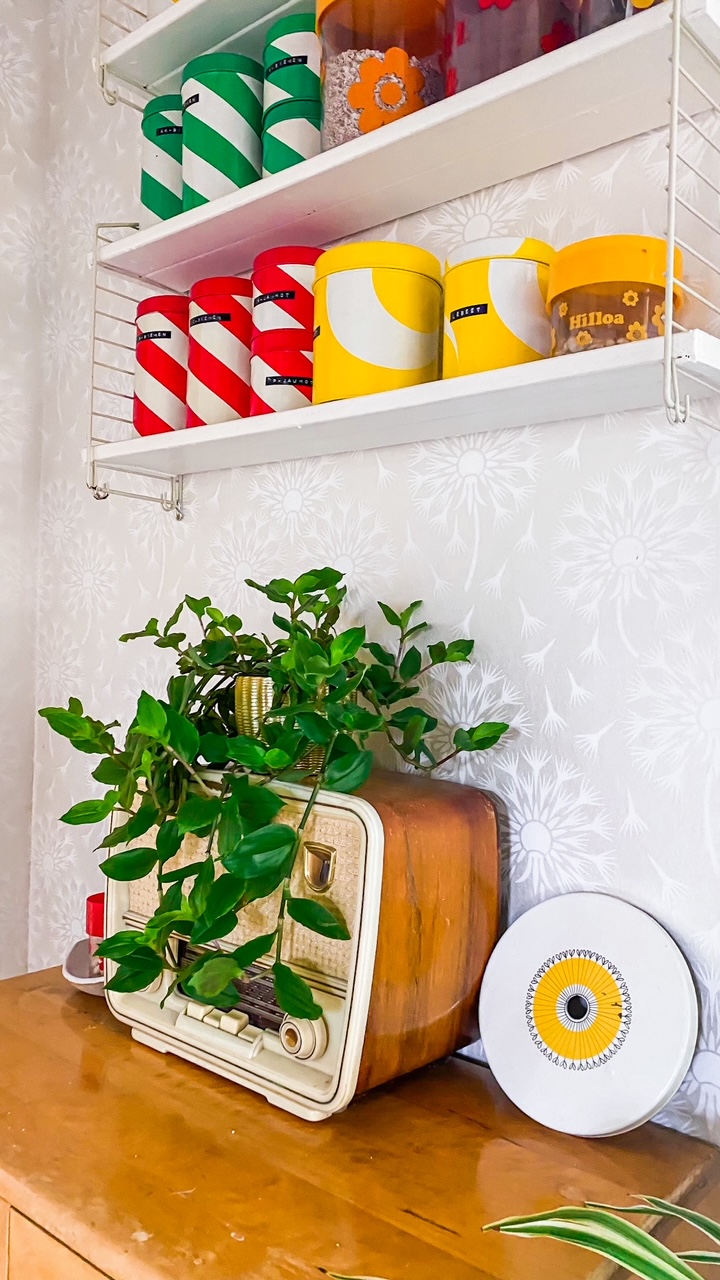 Elluyellow kirppislöydöt