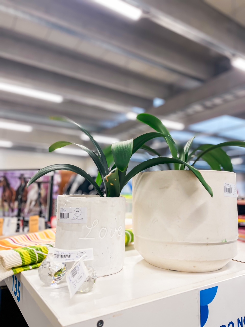 Elluyellow ja kevään kirppislöydöt