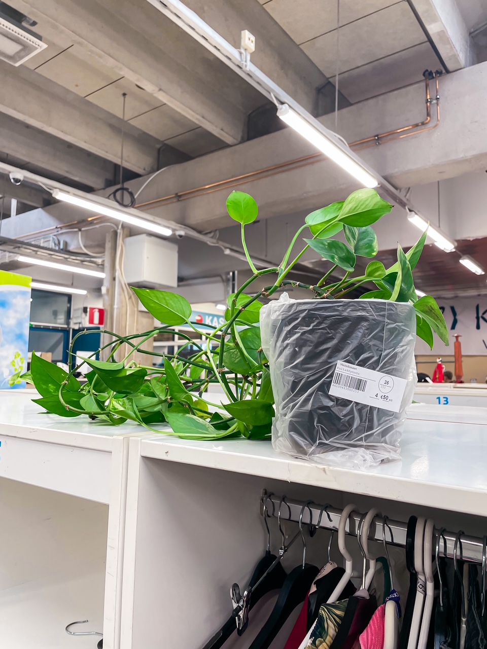 Elluyellow ja kevään kirppislöydöt