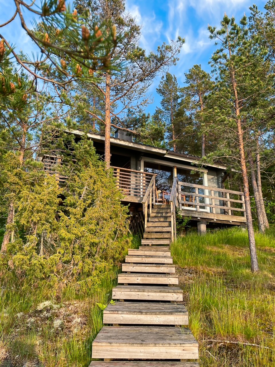 Elluyellow Salossa kesä 2025