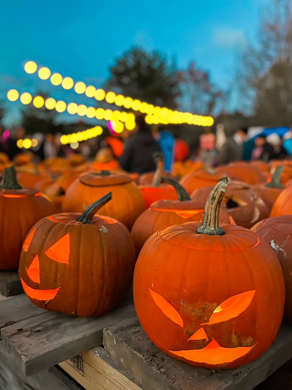 Elluyellow Salon Kurpitsaviikoilla