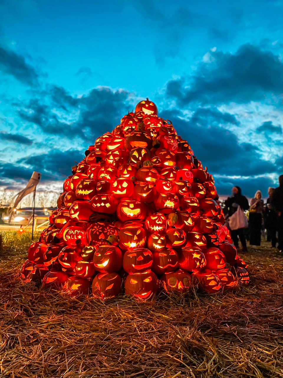 Elluyellow Salon Kurpitsaviikoilla