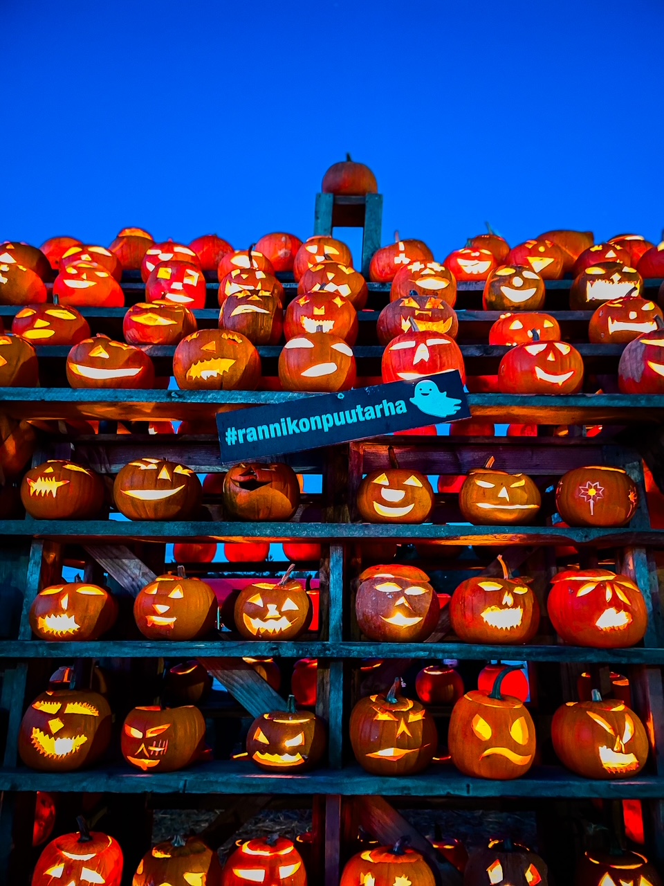 Elluyellow Salon Kurpitsaviikoilla