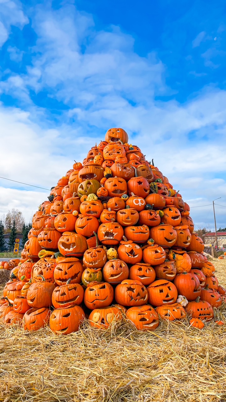 Elluyellow & Visit Salo syksy 2025 kuva 