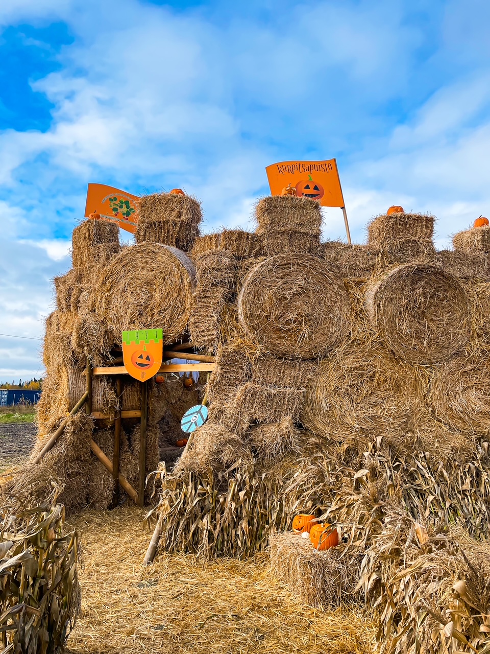 Elluyellow & Visit Salo syksy 2025 kuva 