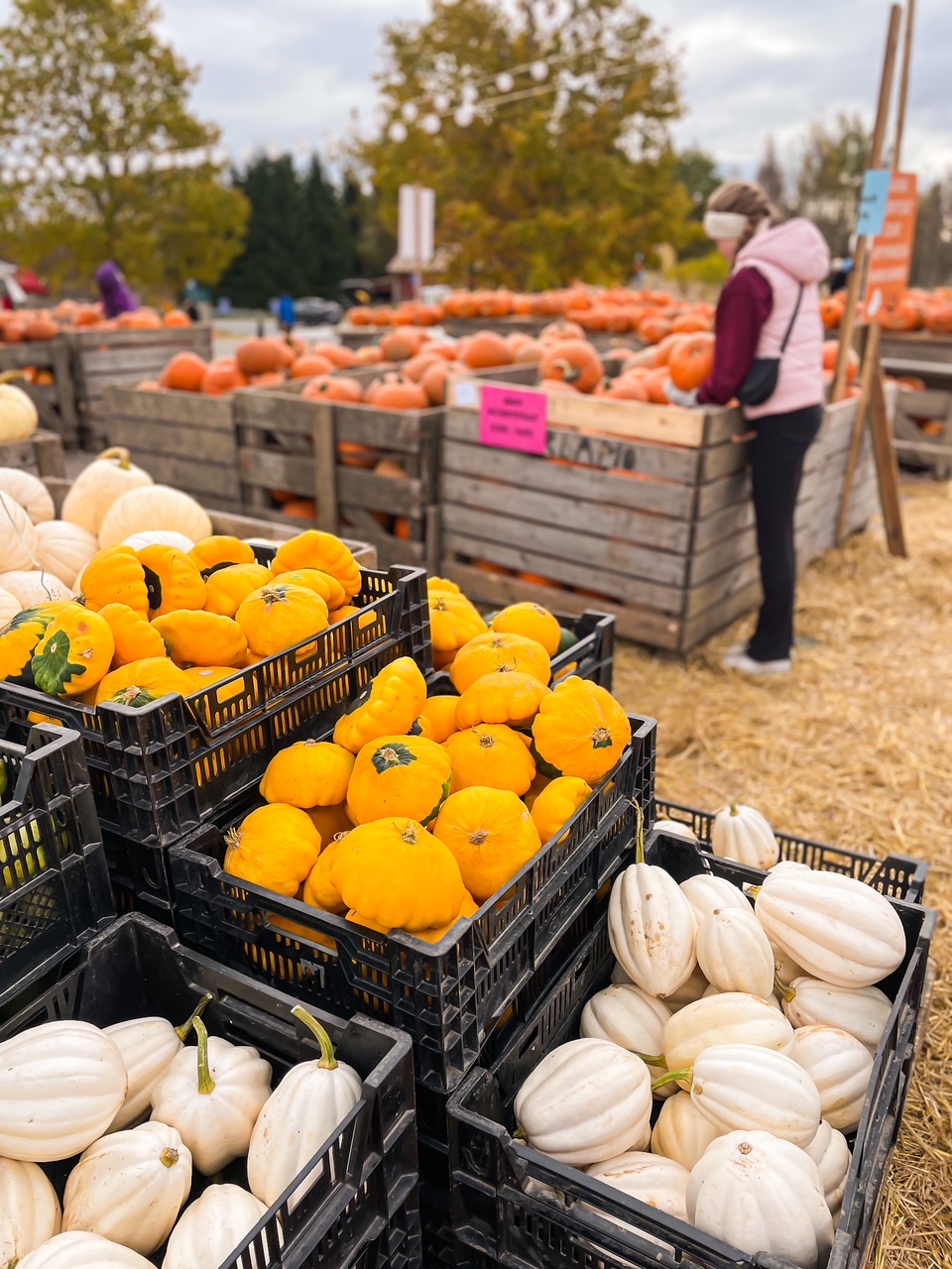 Elluyellow & Visit Salo syksy 2025 kuva 