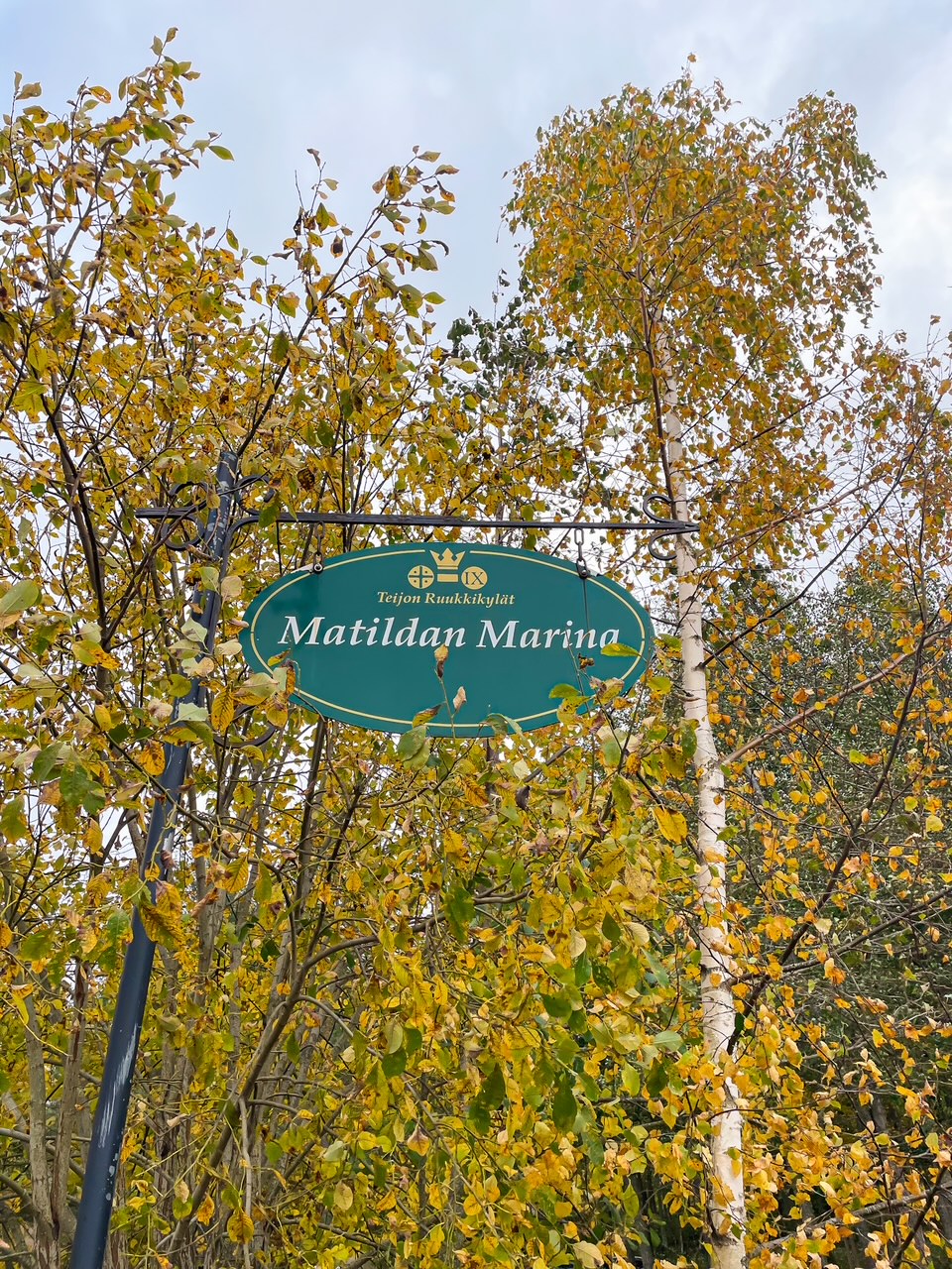 Elluyellow & Visit Salo syksy 2025 kuva 