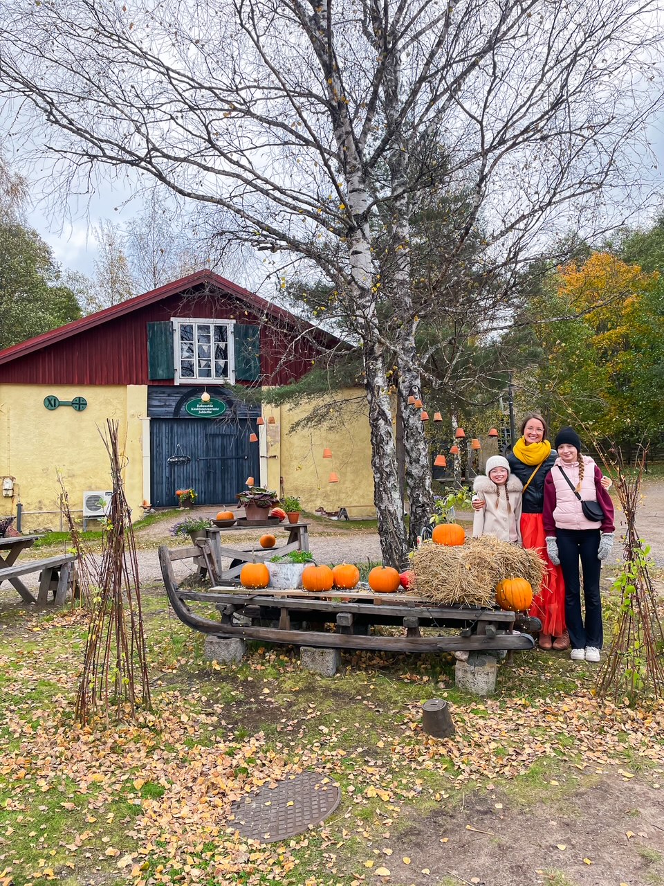 Elluyellow & Visit Salo syksy 2025 kuva 